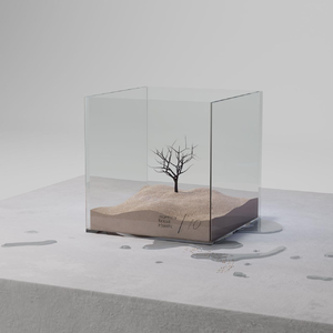 日本三级黄色片BXXX
