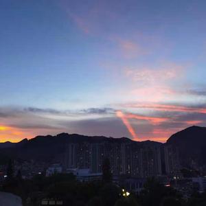 日本三级黄色片BXXX
