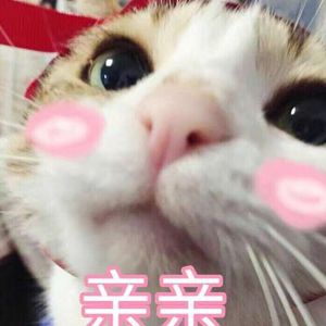 日本三级黄色片BXXX
